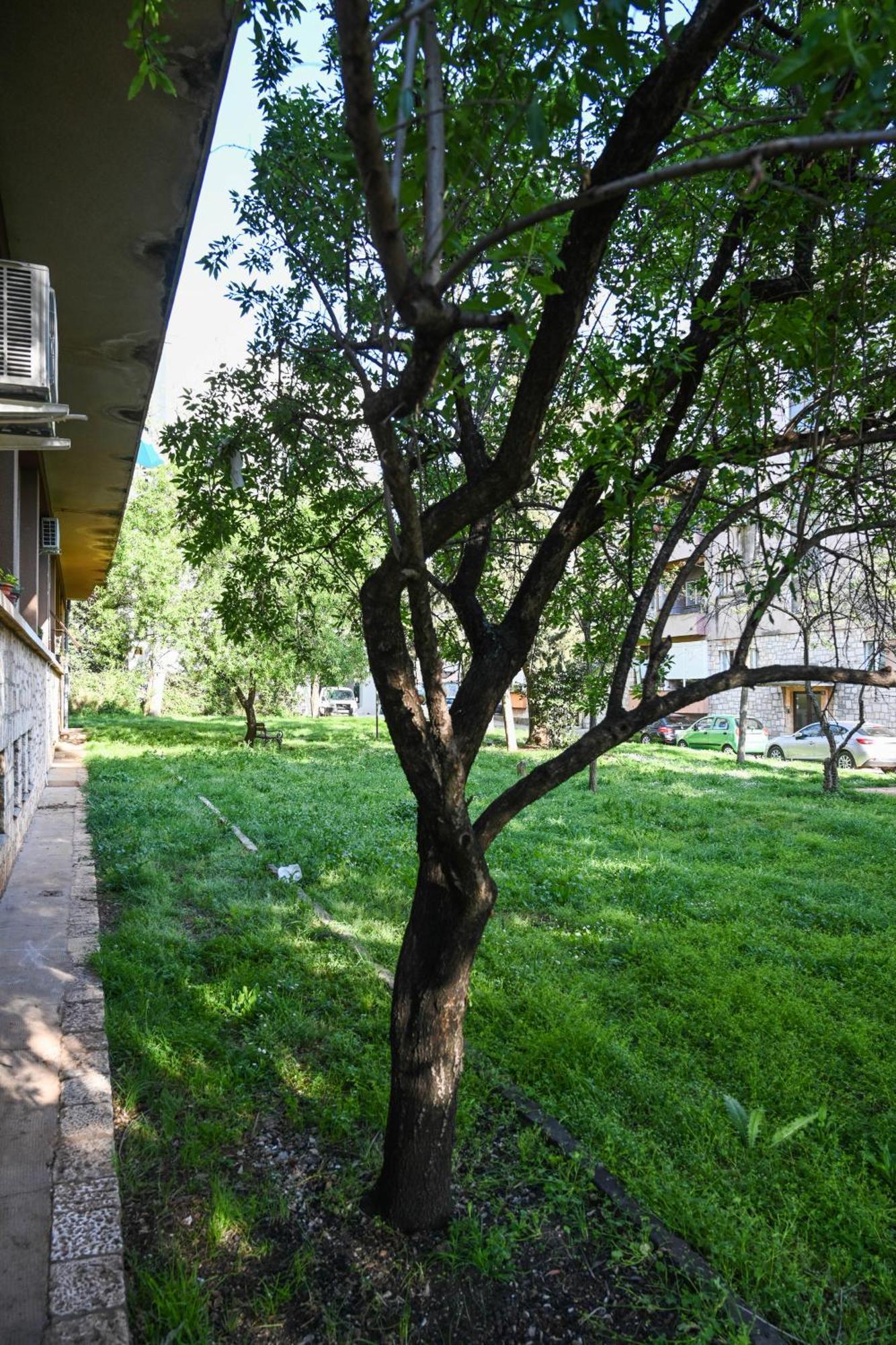 4-Star Design Apartments Bubamara Zadar Exteriér fotografie